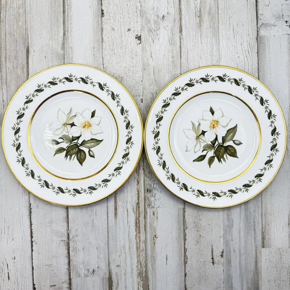 2 Vintage Royal Worcester Bernina 8” Salad Dessert Plates Made In England Flaw